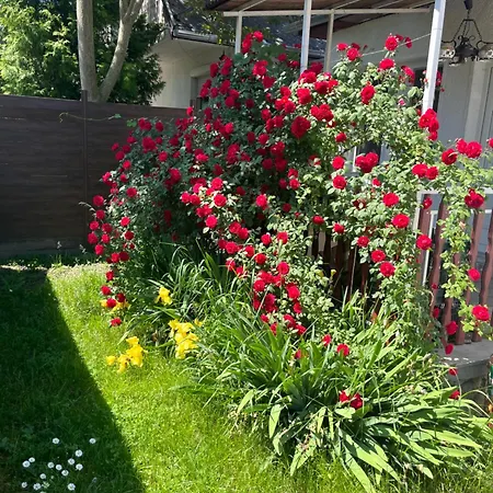 Daire Francesco Apartmanhaz Velence