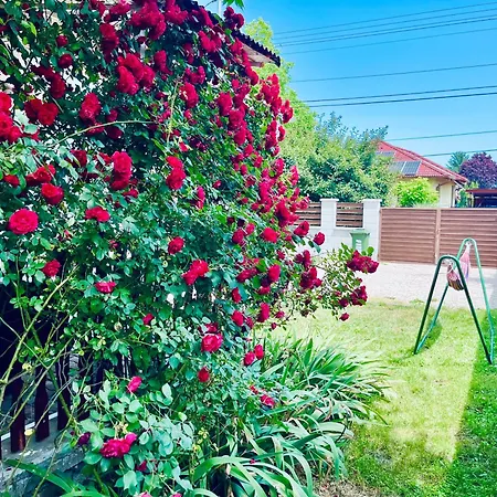 Francesco Apartmanhaz *