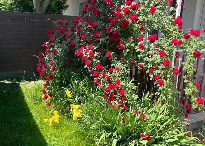 דירה Francesco Apartmanhaz ולנצה